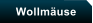 Wollmuse
